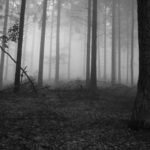 دانلود آهنگ بغض معین